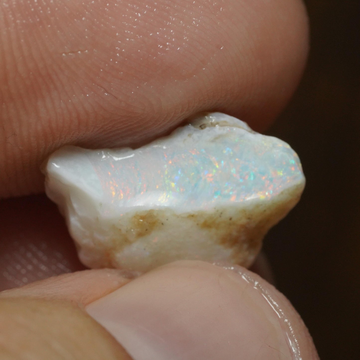 Australian Rough Opal