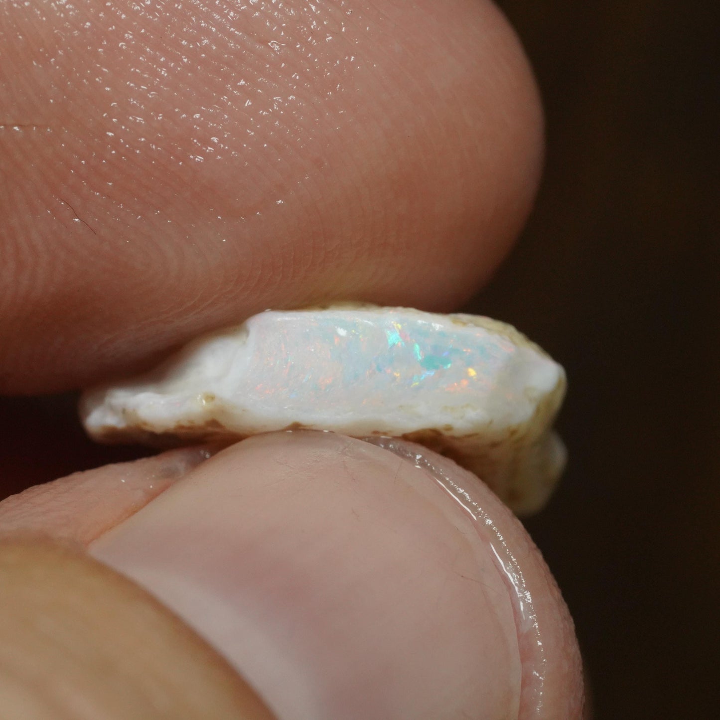 Australian Rough Opal