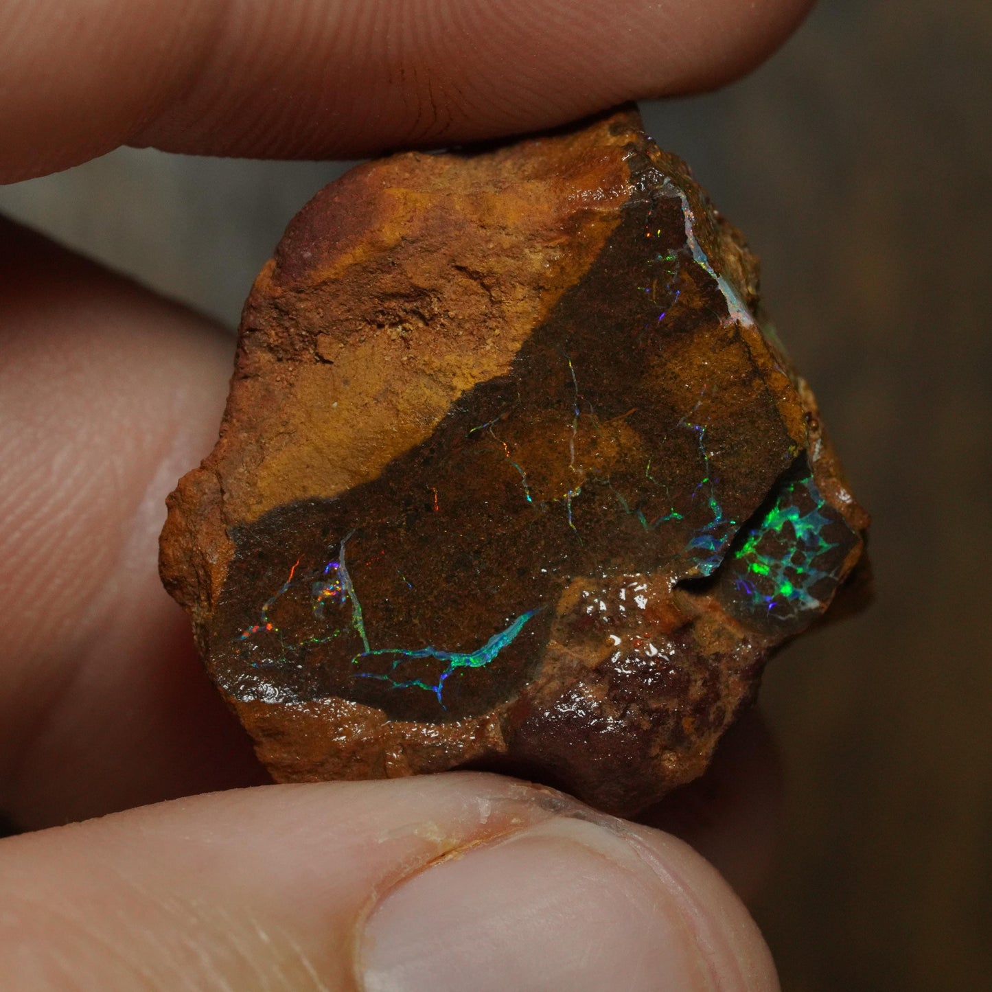Boulder Opal