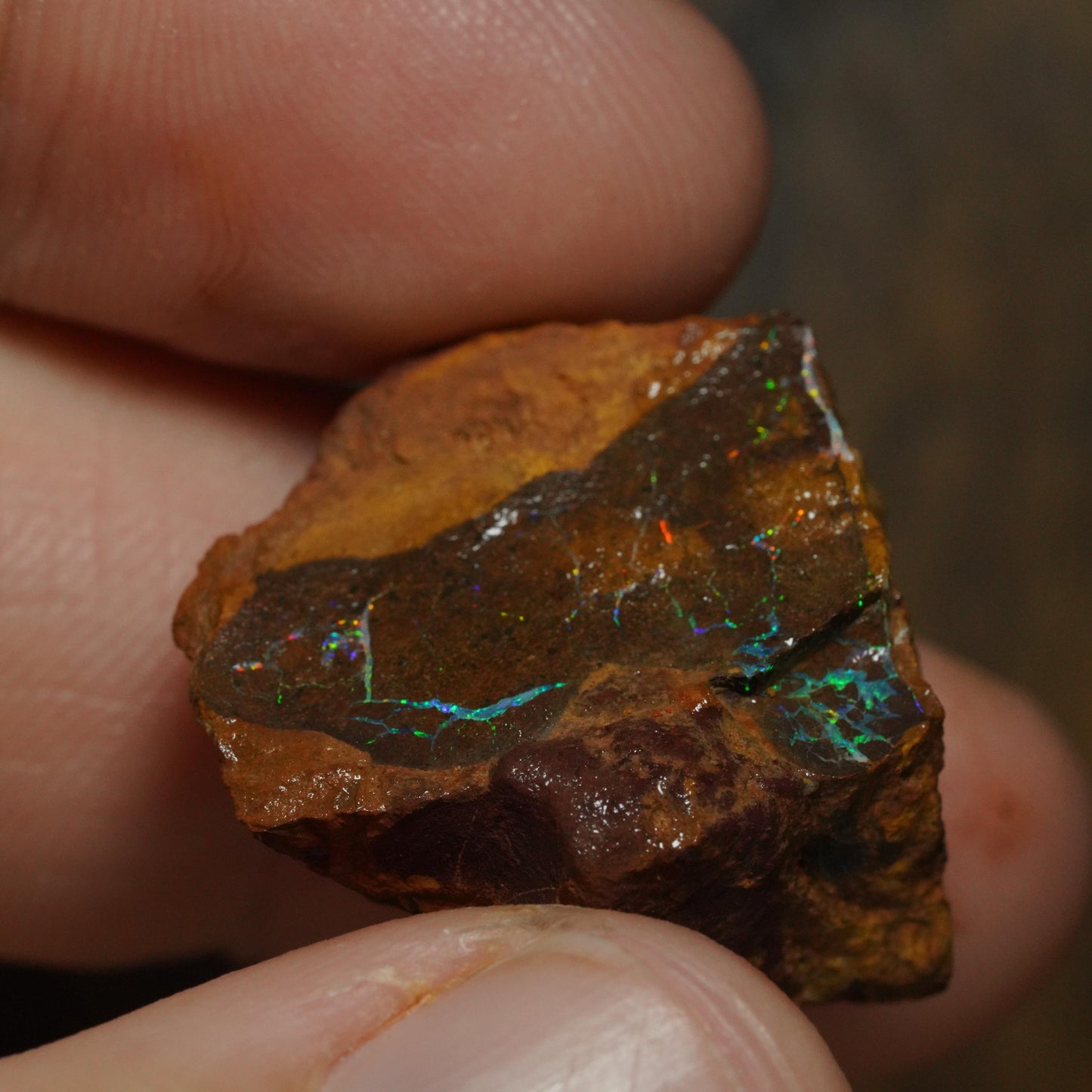 Boulder Opal
