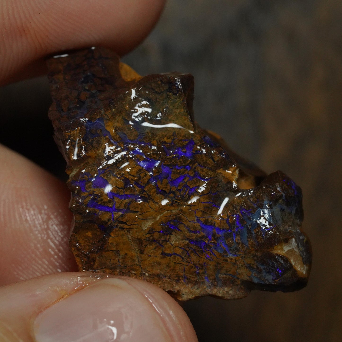 Boulder Opal