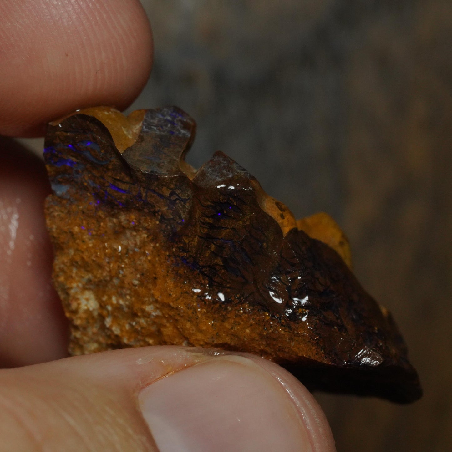 Boulder Opal