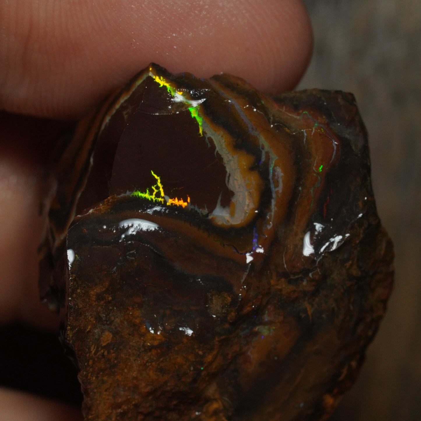 Boulder Opal
