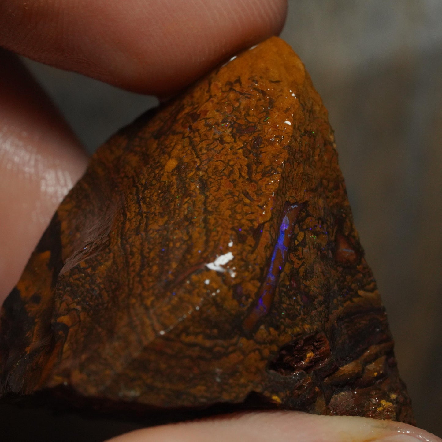 Boulder Opal
