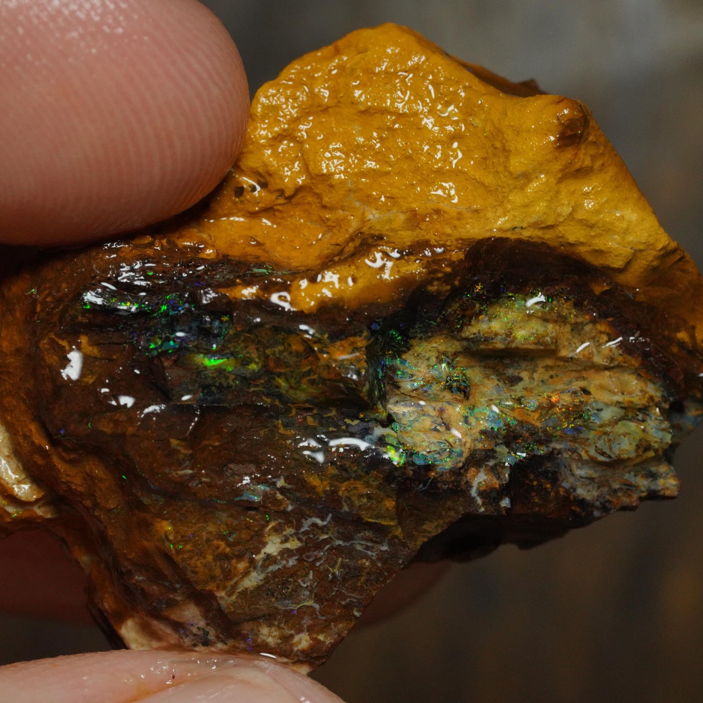 Boulder Opal