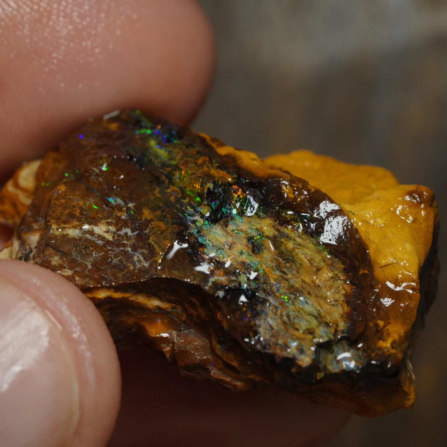 Boulder Opal