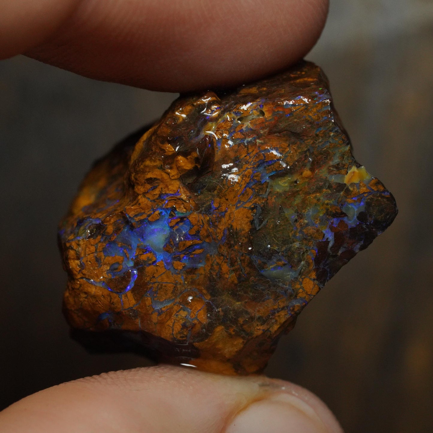 Boulder Opal