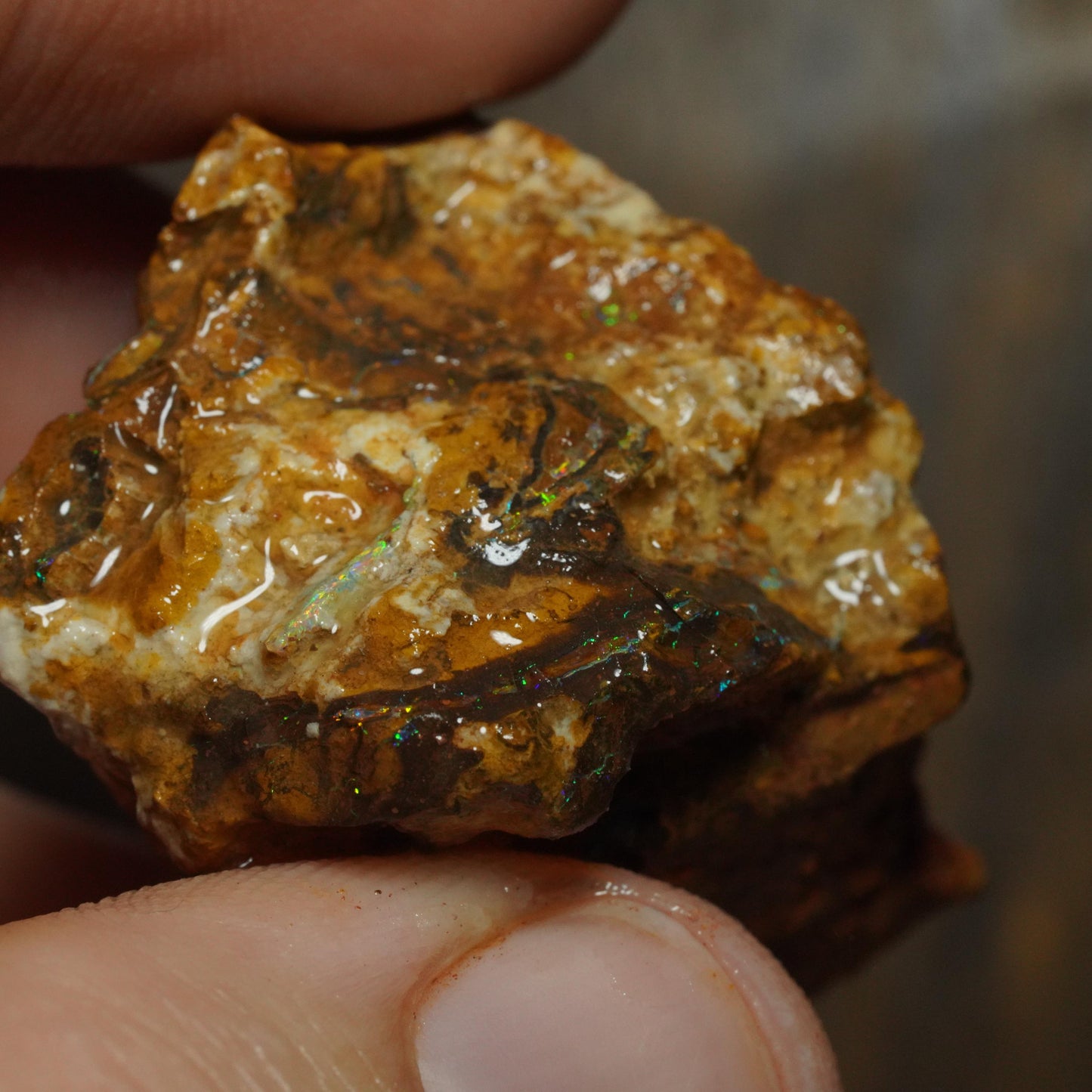 Boulder Opal