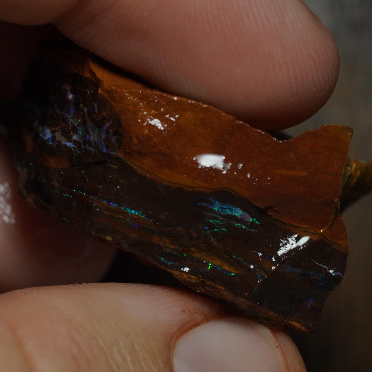 Boulder Opal