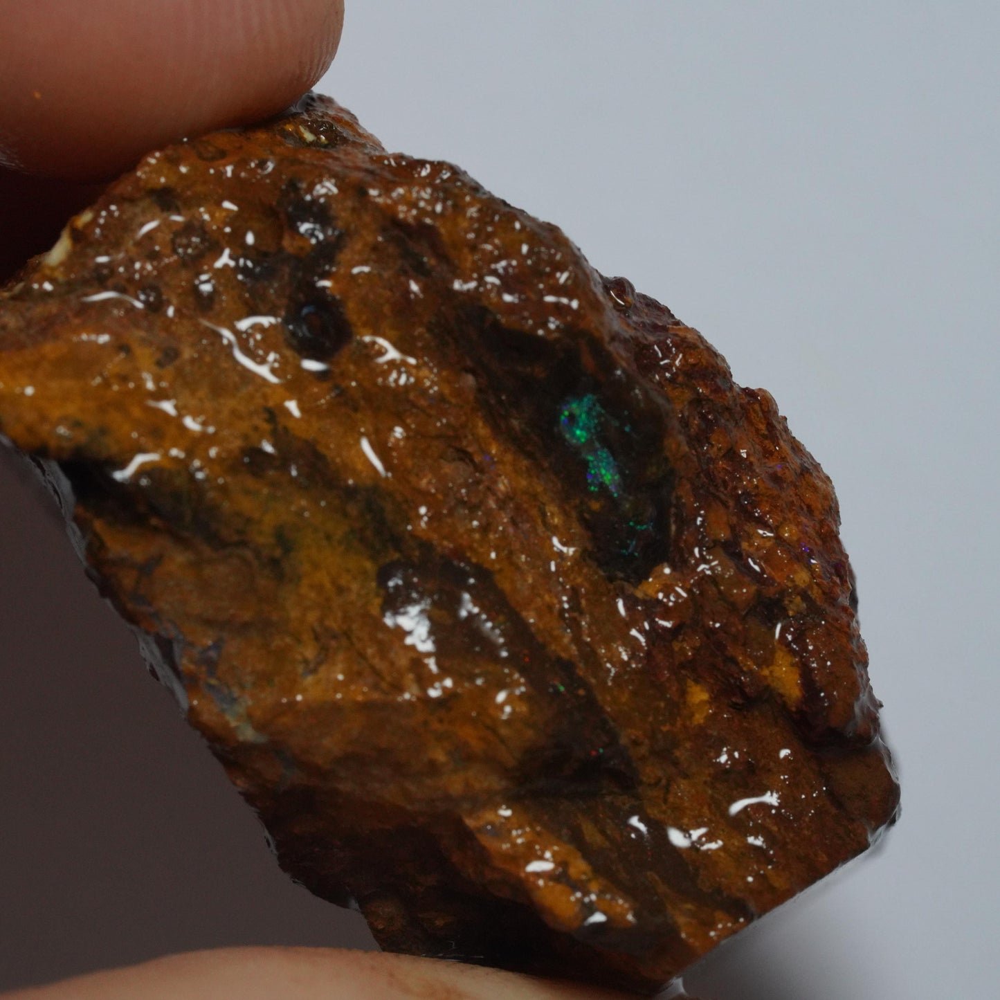 Boulder Opal