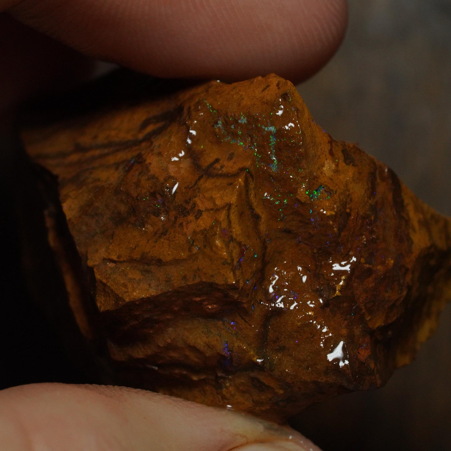 Boulder Opal