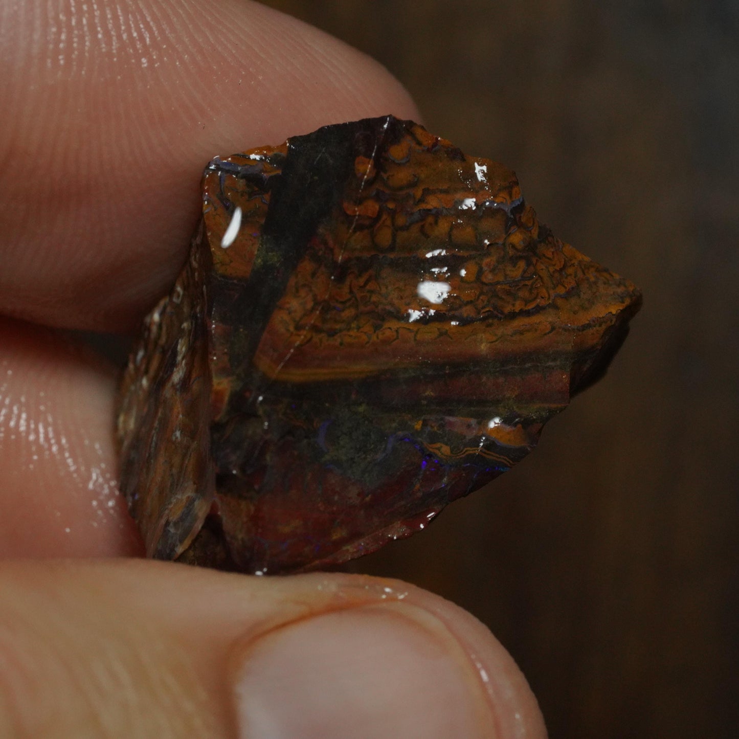 Boulder Opal