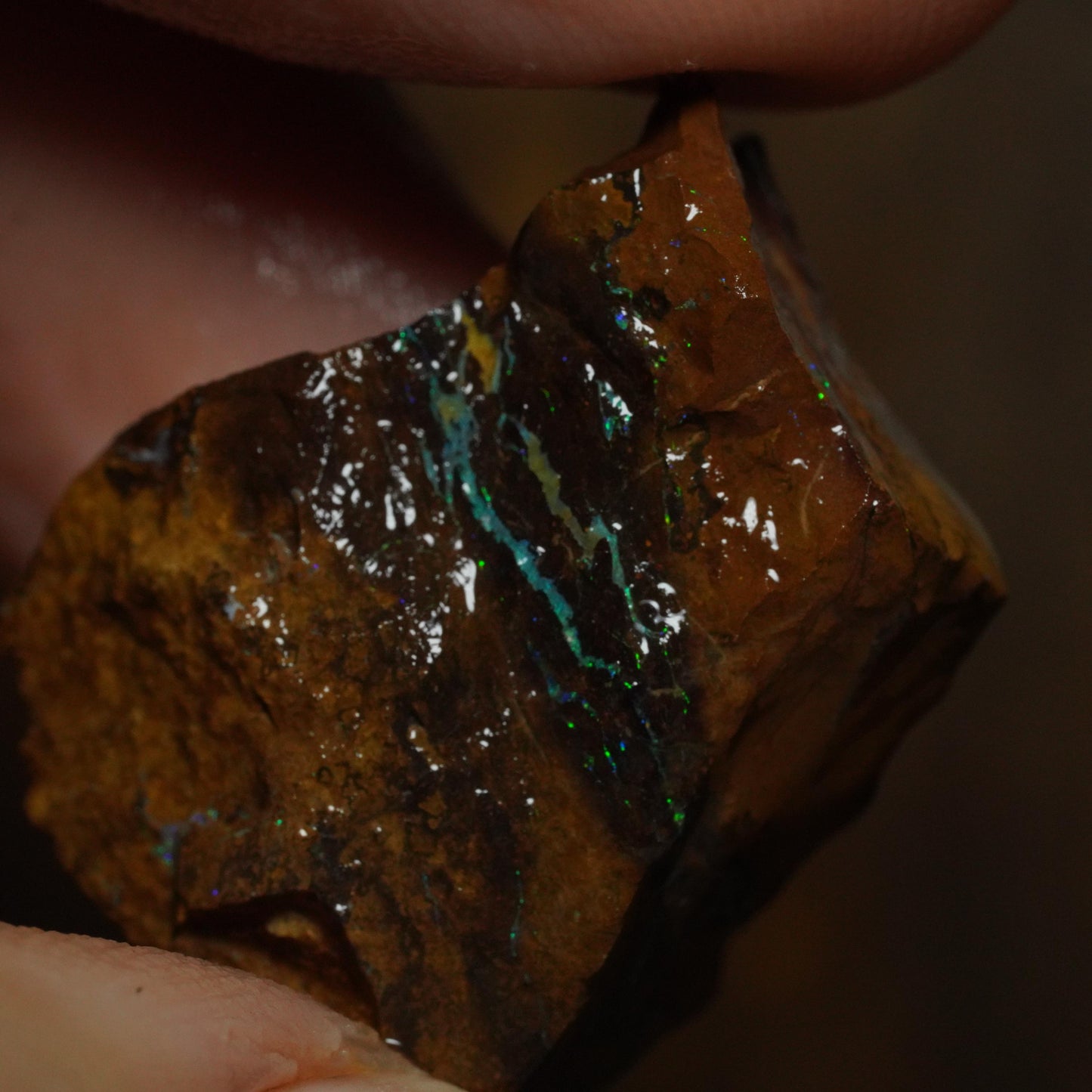 Boulder Opal