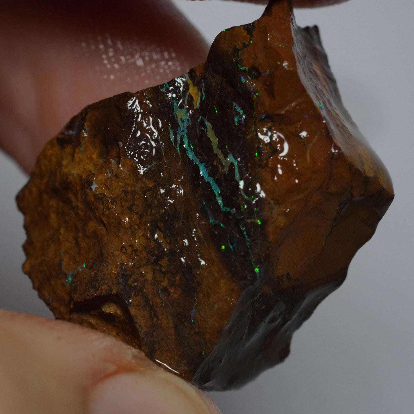 Boulder Opal