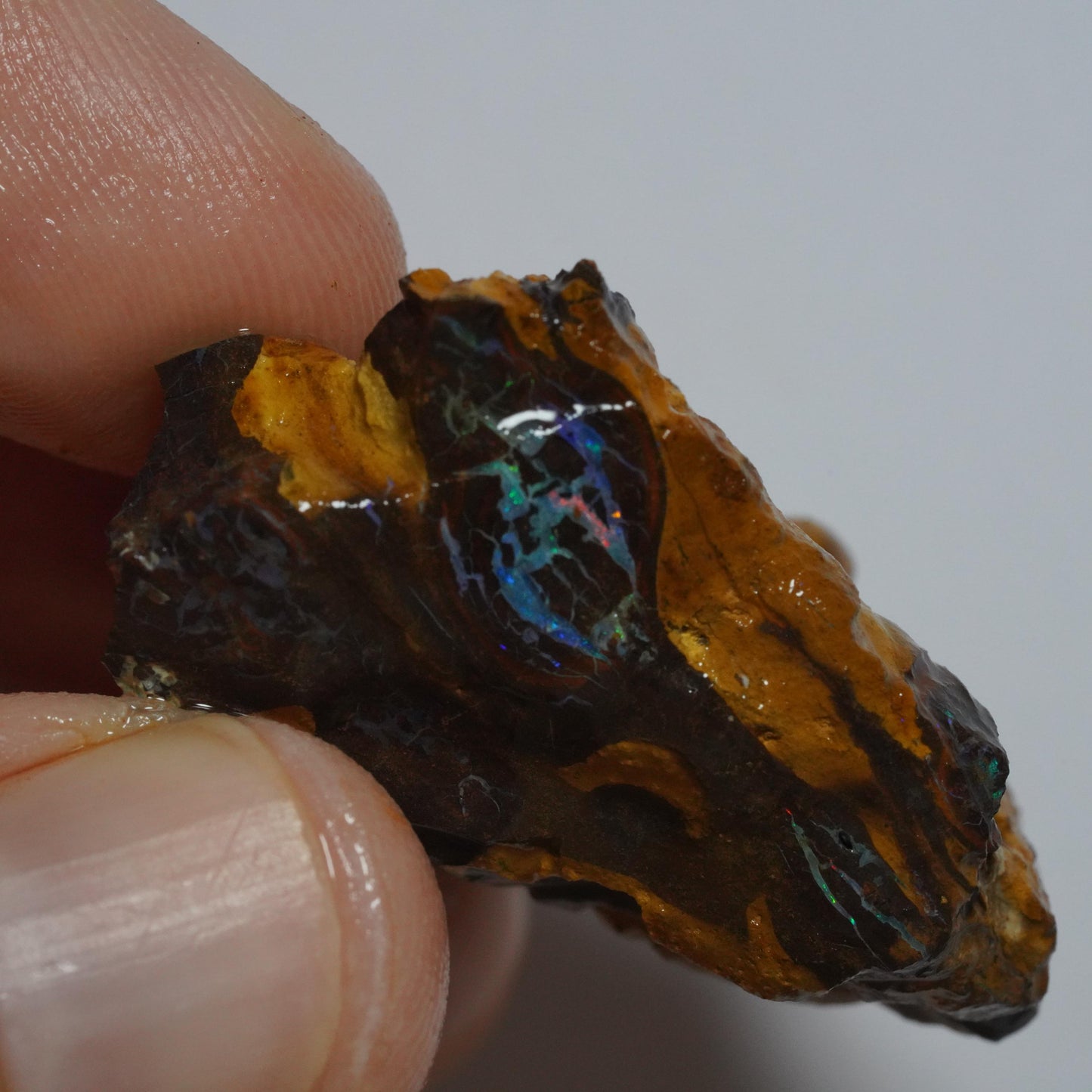 Boulder Opal