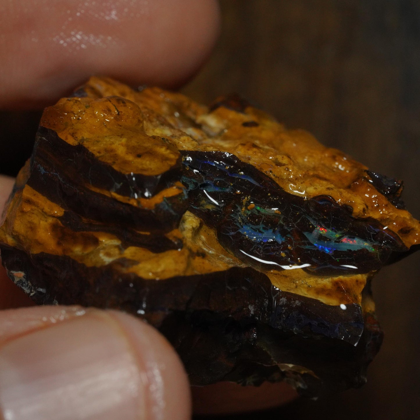 Boulder Opal
