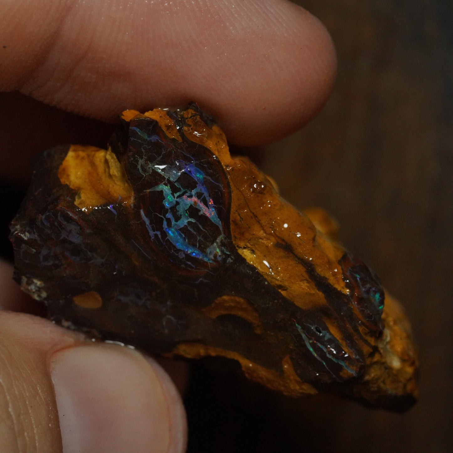 Boulder Opal