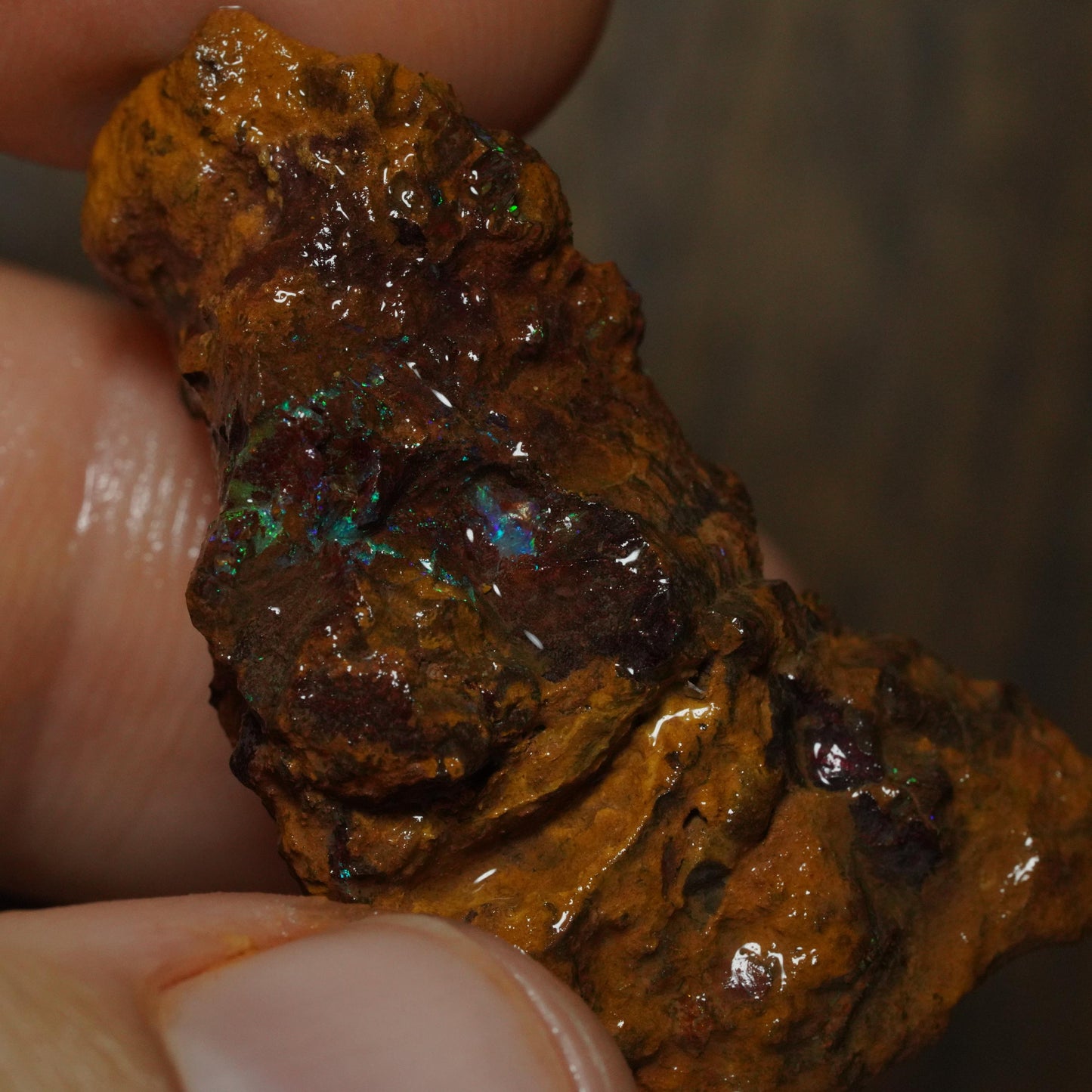 Boulder Opal