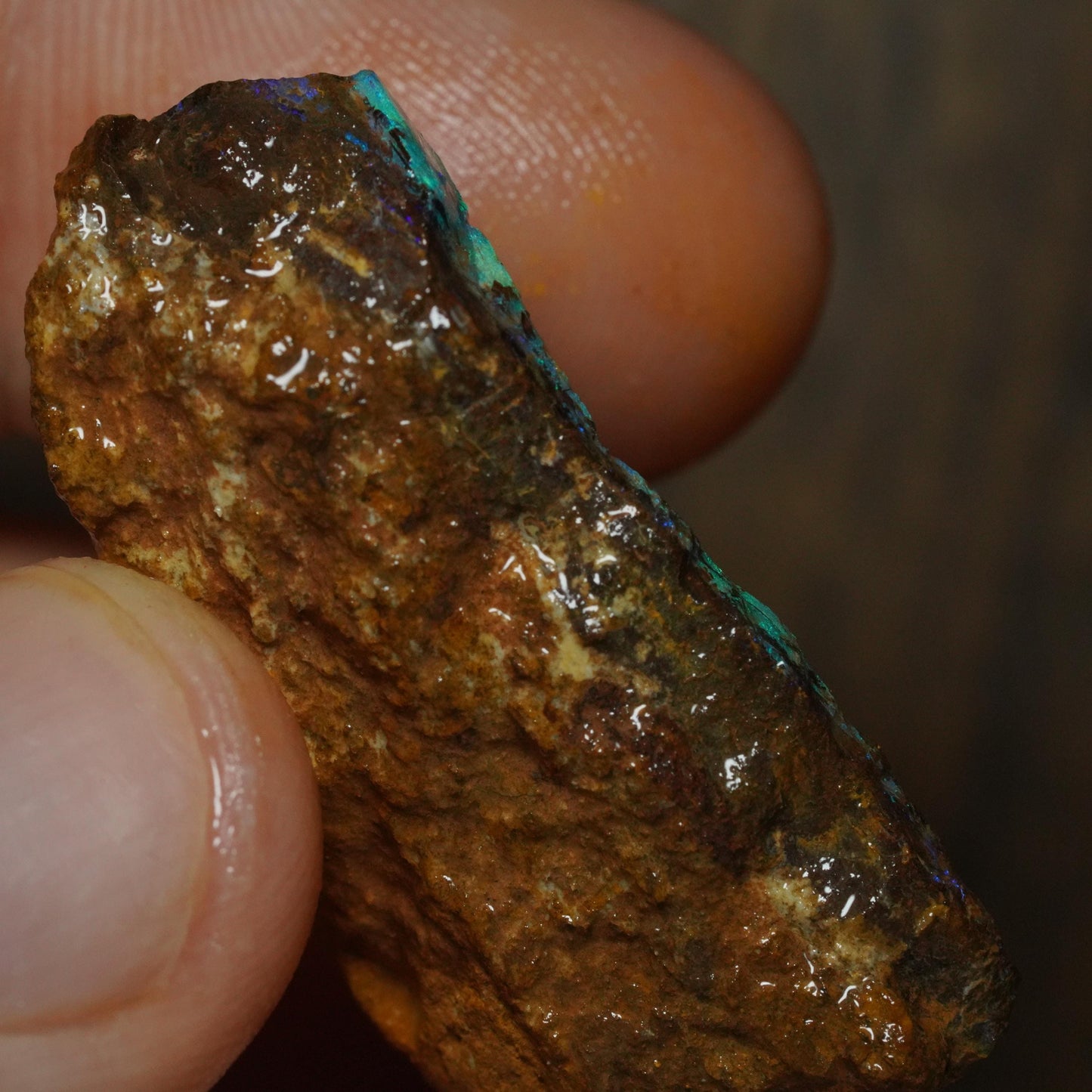 Boulder Opal
