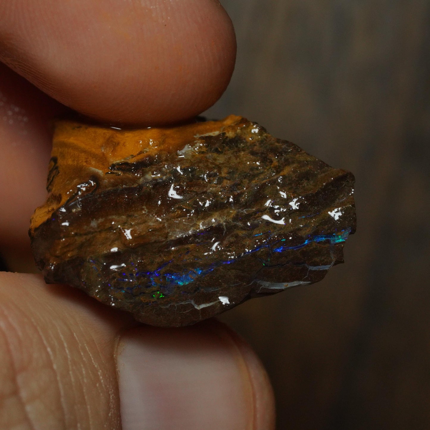 Boulder Opal