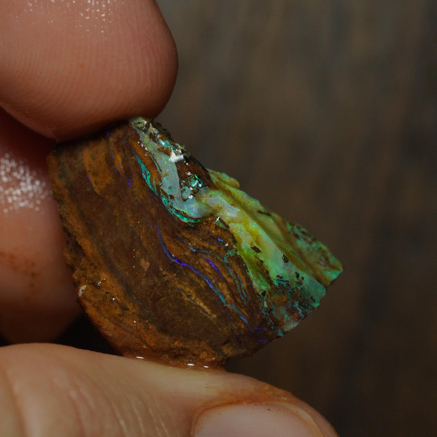 Boulder Opal