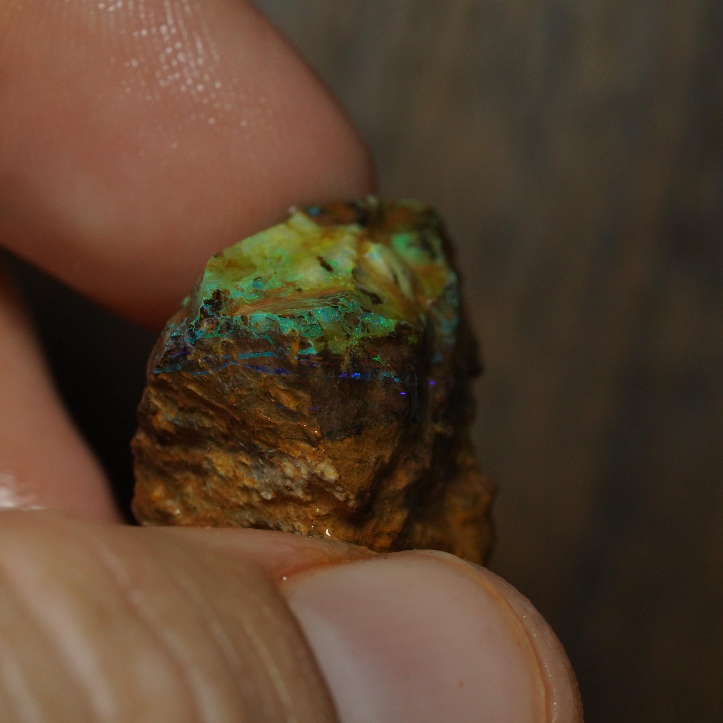 Boulder Opal