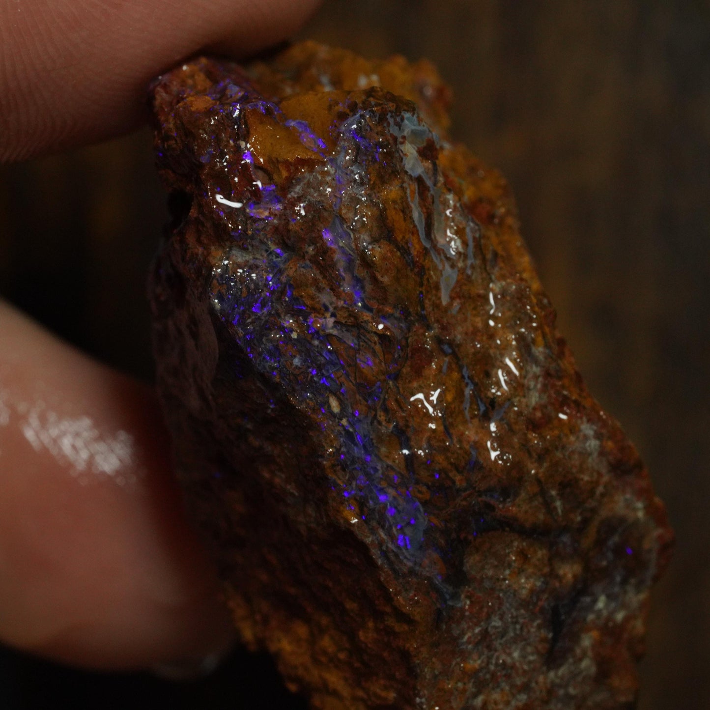 Boulder Opal