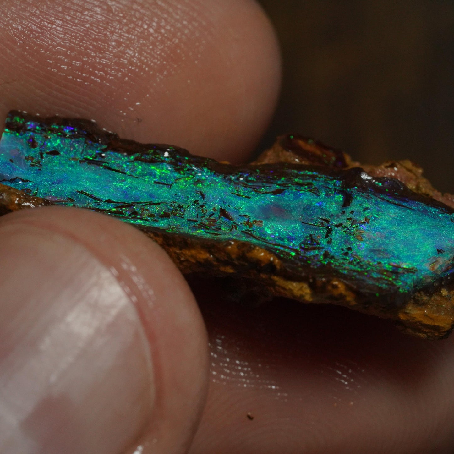 Boulder Opal