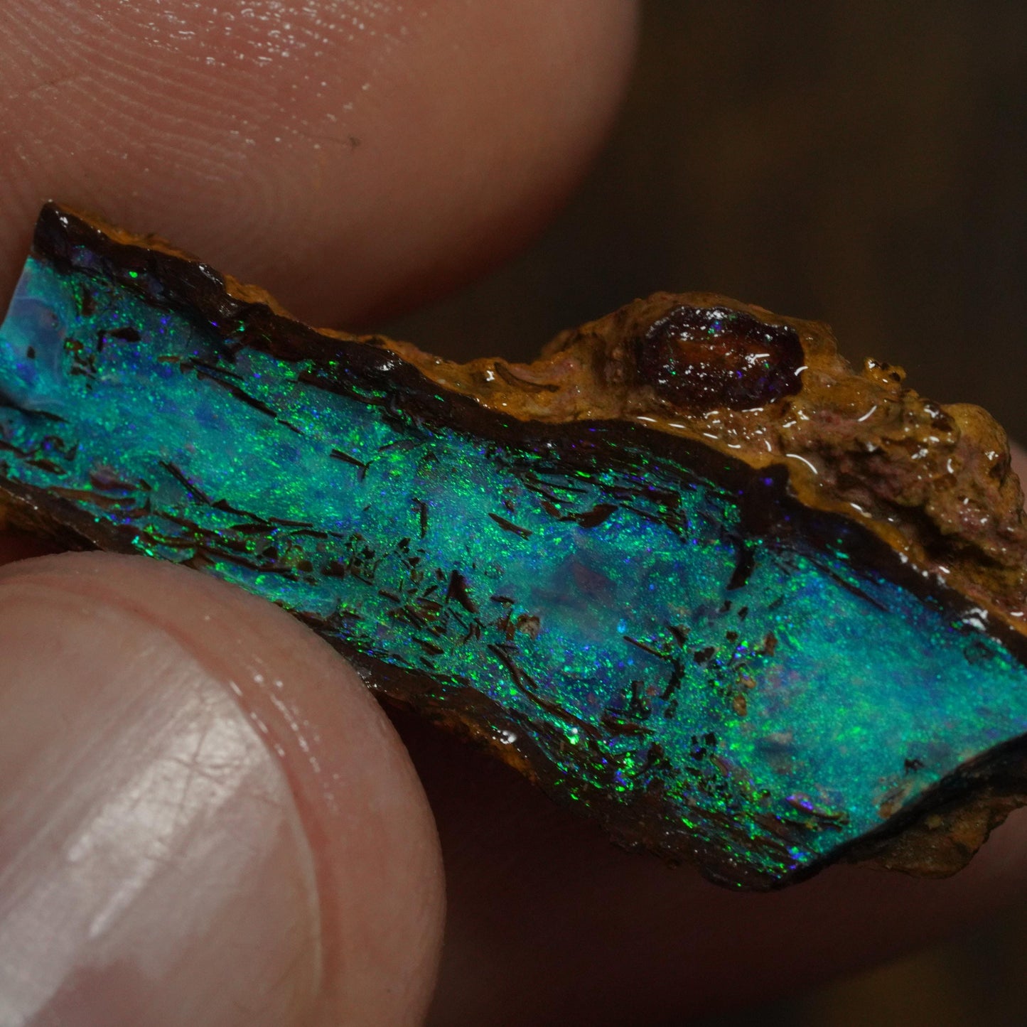 Boulder Opal