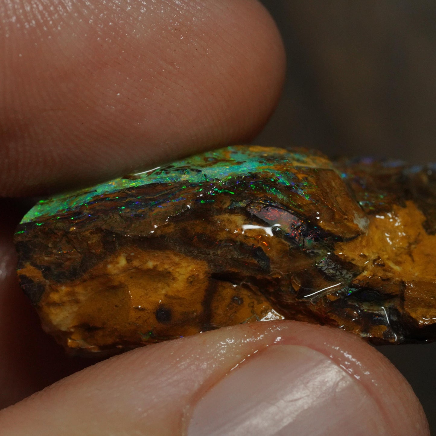 Boulder Opal