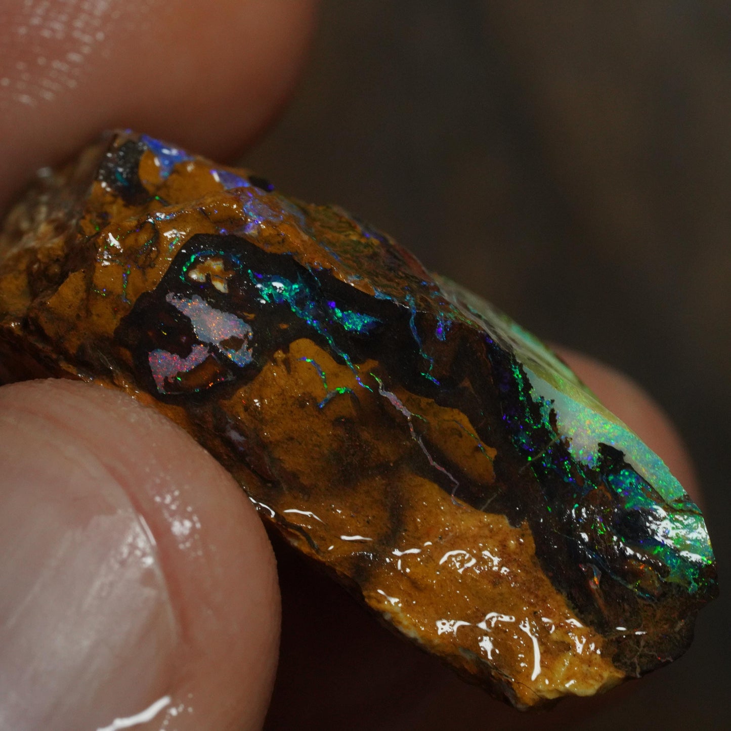 Boulder Opal