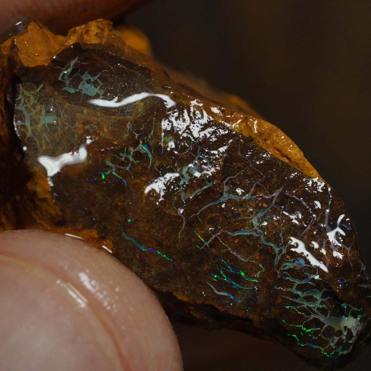 Boulder Opal