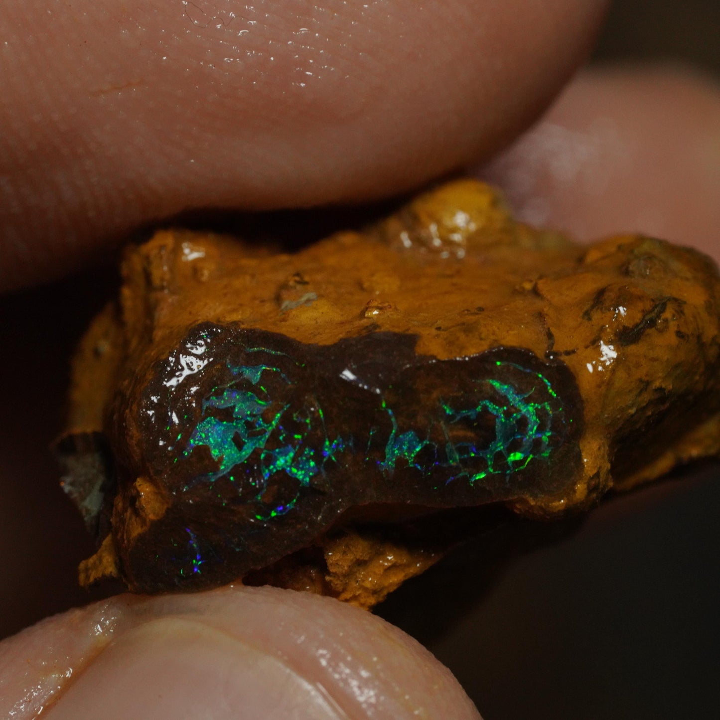 Boulder Opal