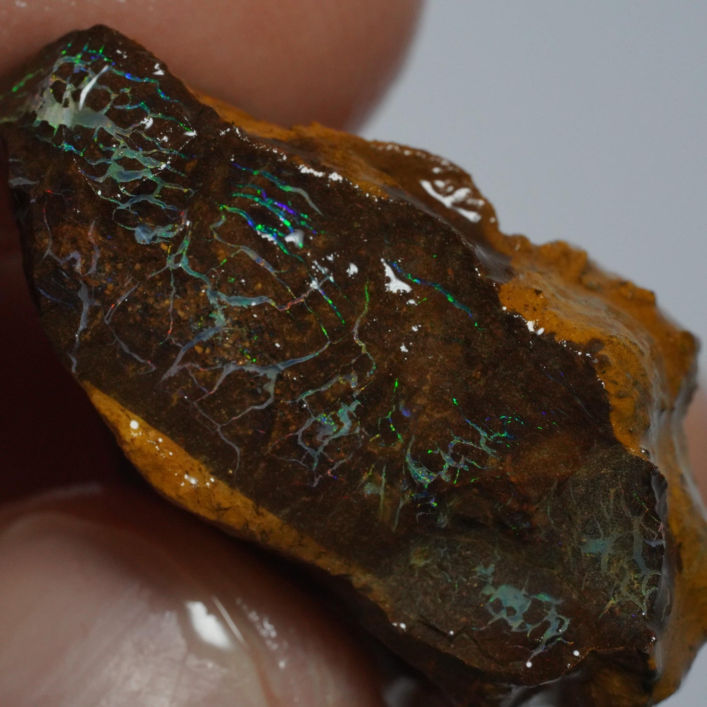Boulder Opal