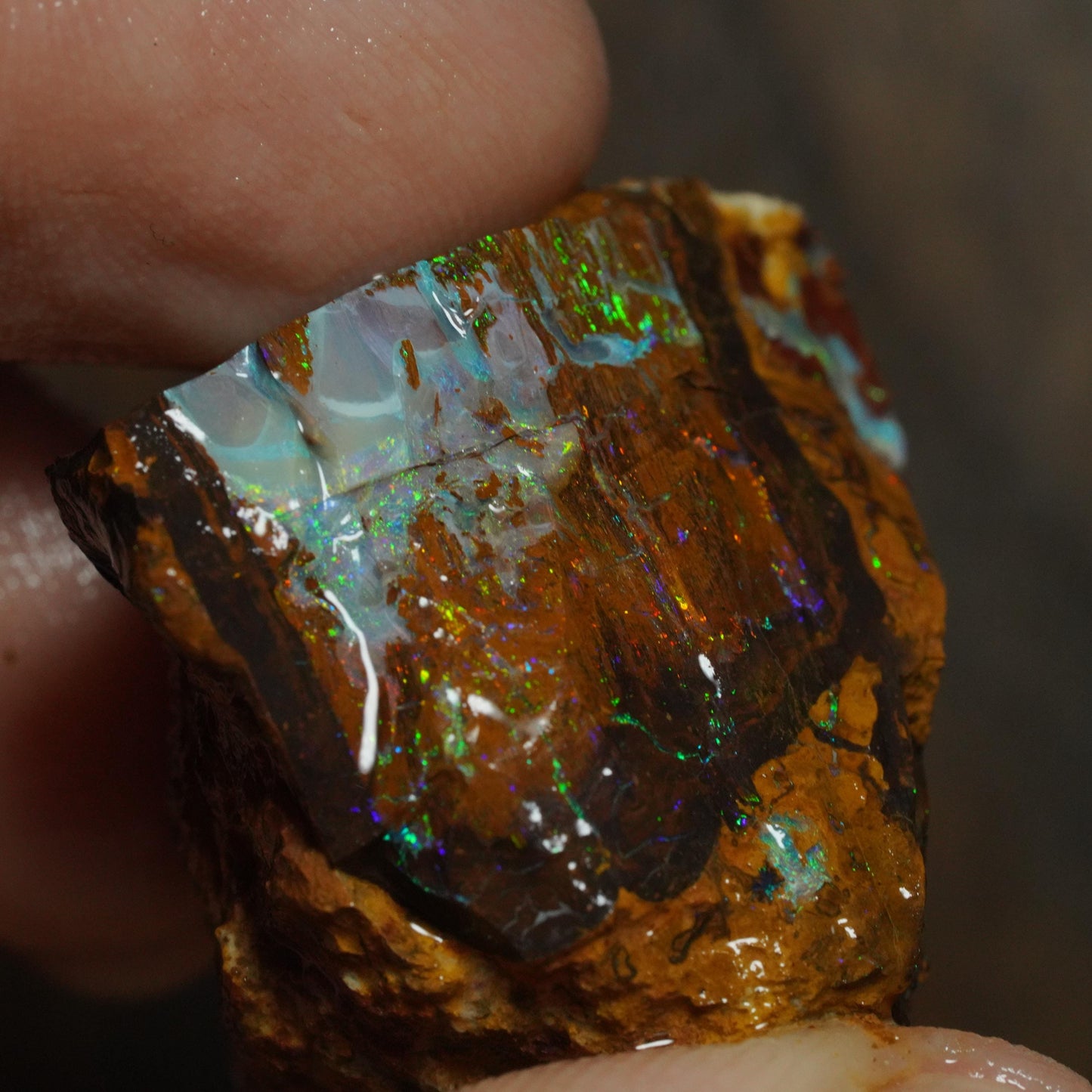 Boulder Opal