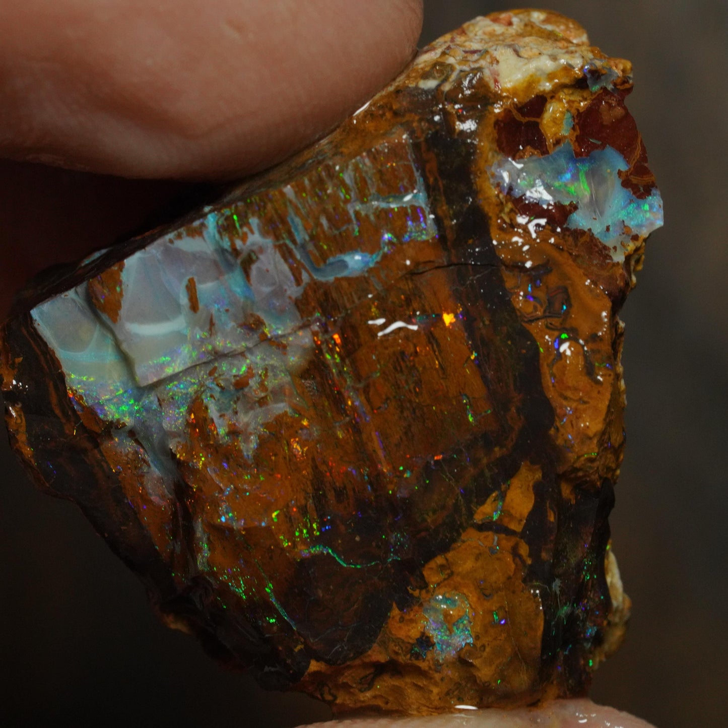 Boulder Opal