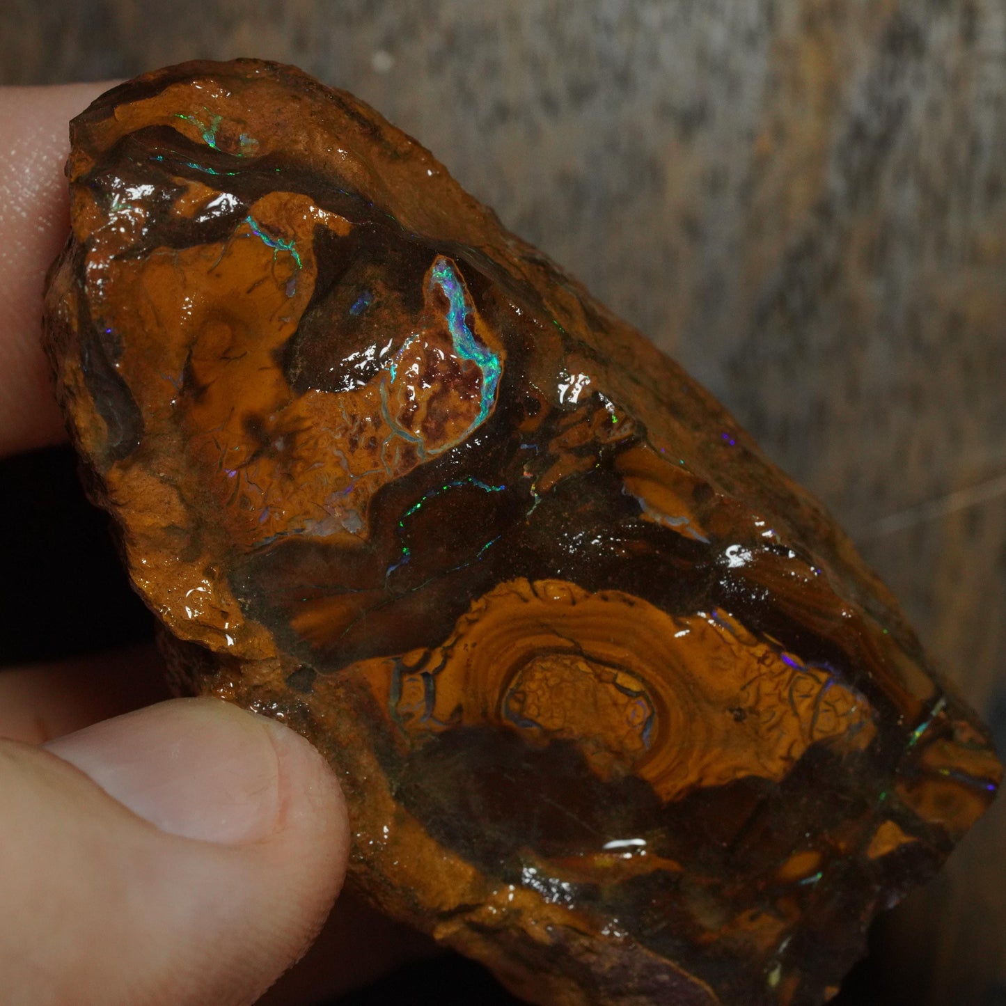 Boulder Opal