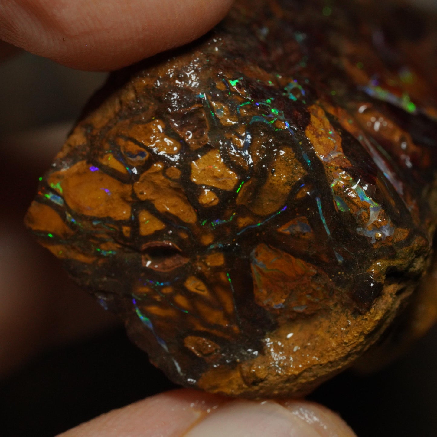 Boulder Opal