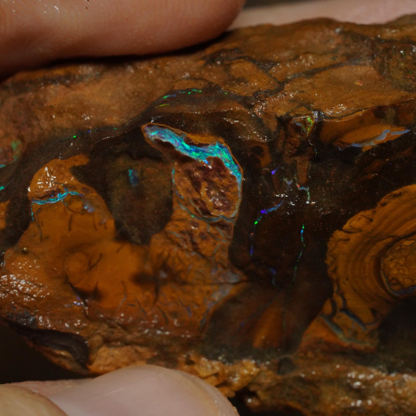 Boulder Opal