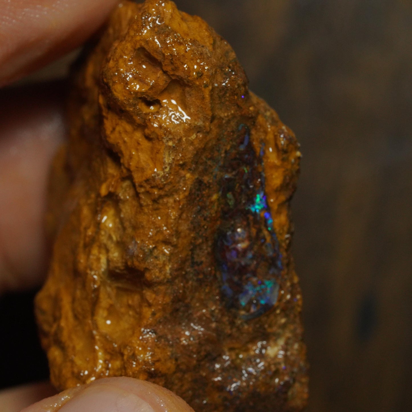 Boulder Opal