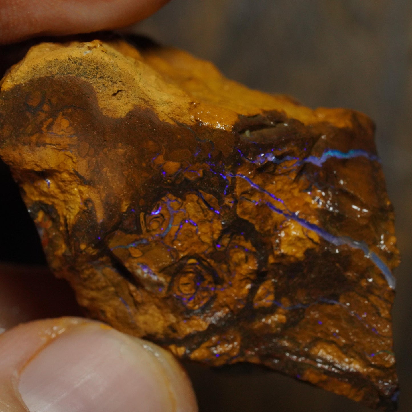 Boulder Opal