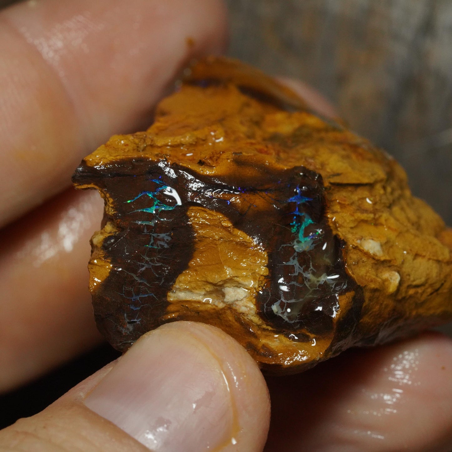 Boulder Opal