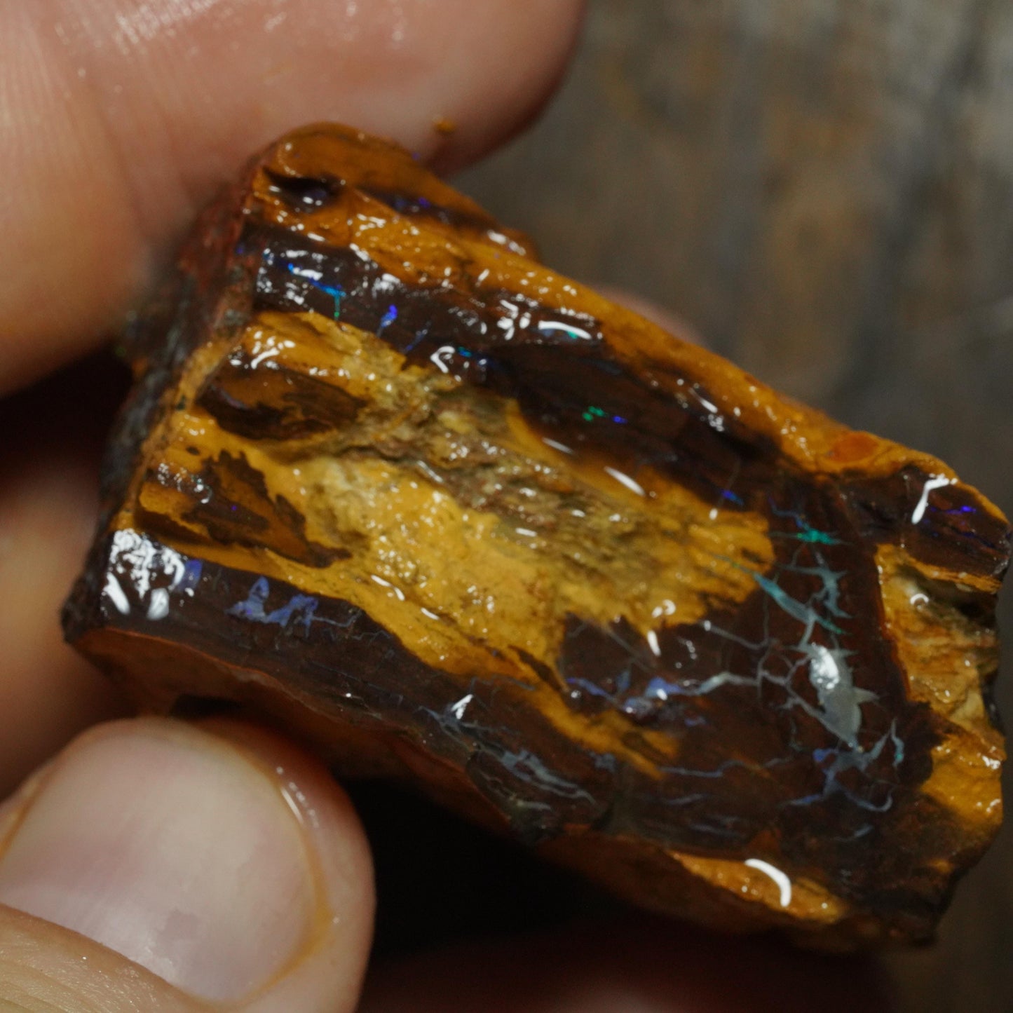 Boulder Opal