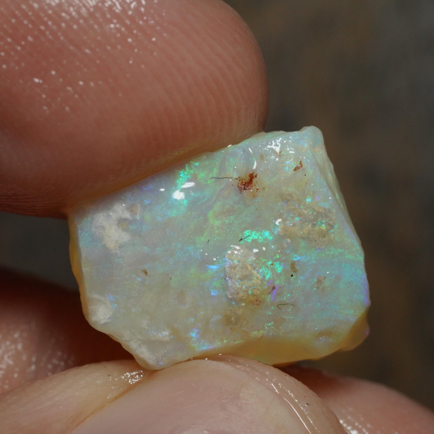 Australian Rough Opal