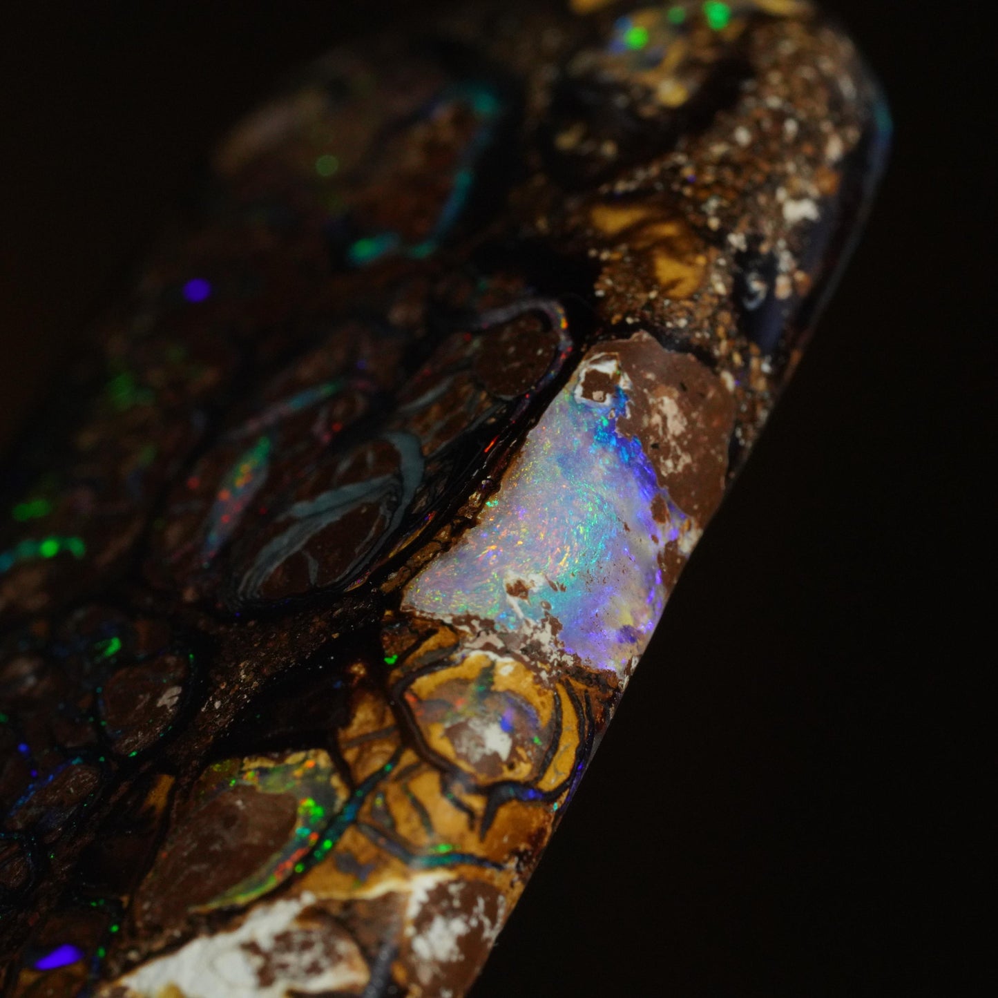 Boulder Opal Cut Stone