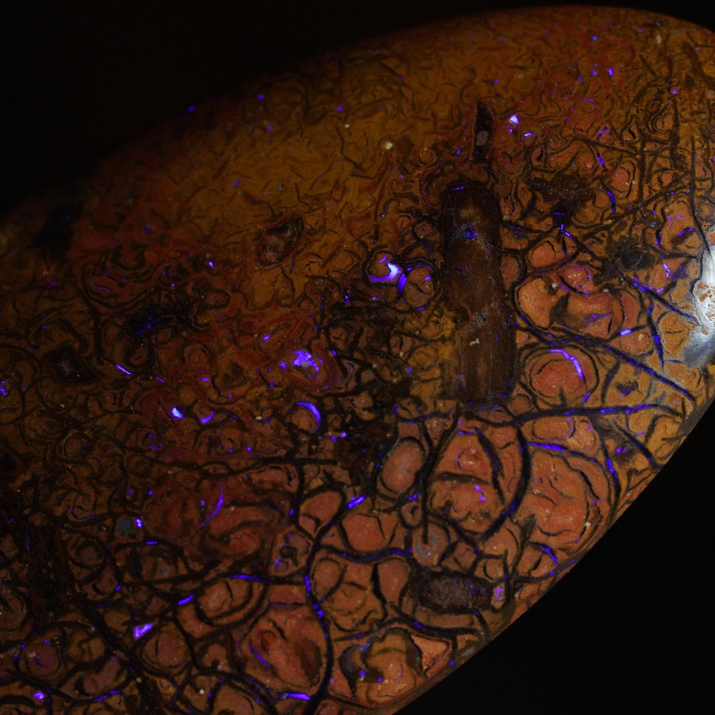 Boulder Opal Cut Stone