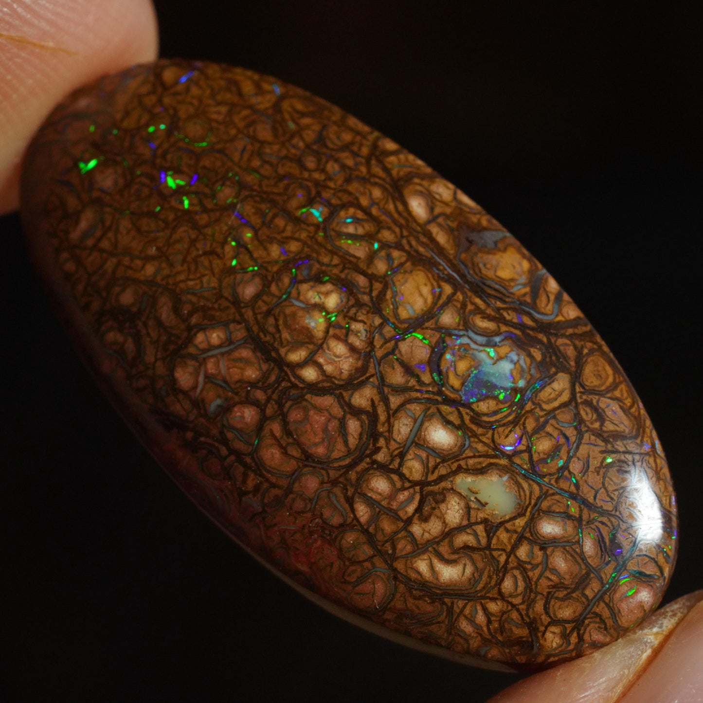 Boulder Opal Cut Stone