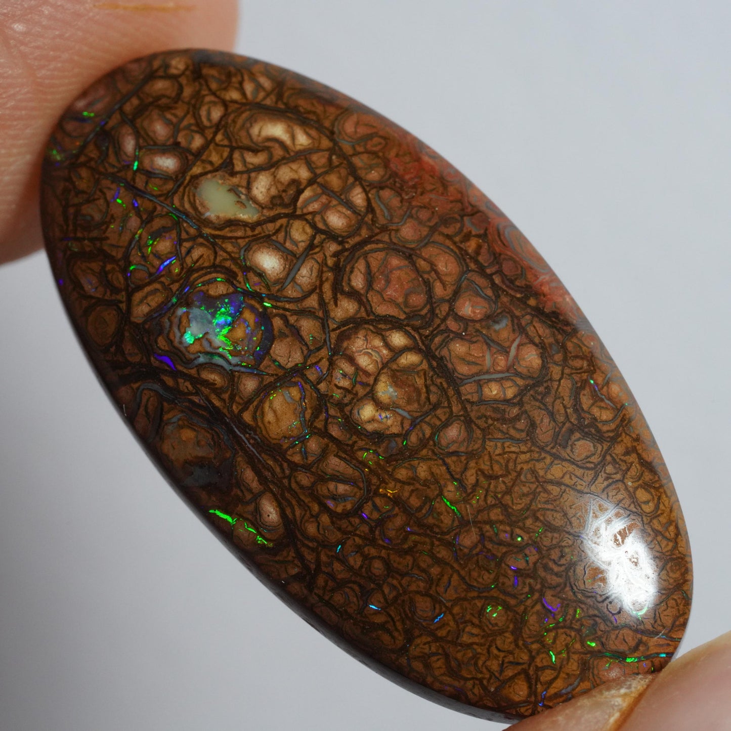 Boulder Opal Cut Stone