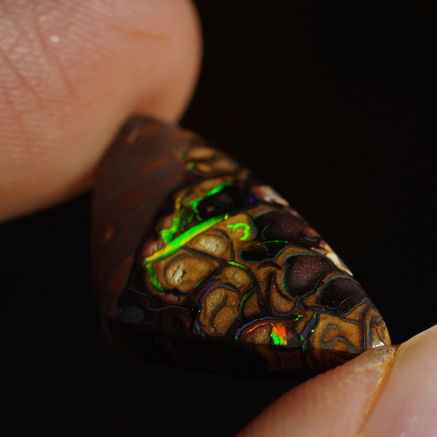 Boulder Opal Cut Stone