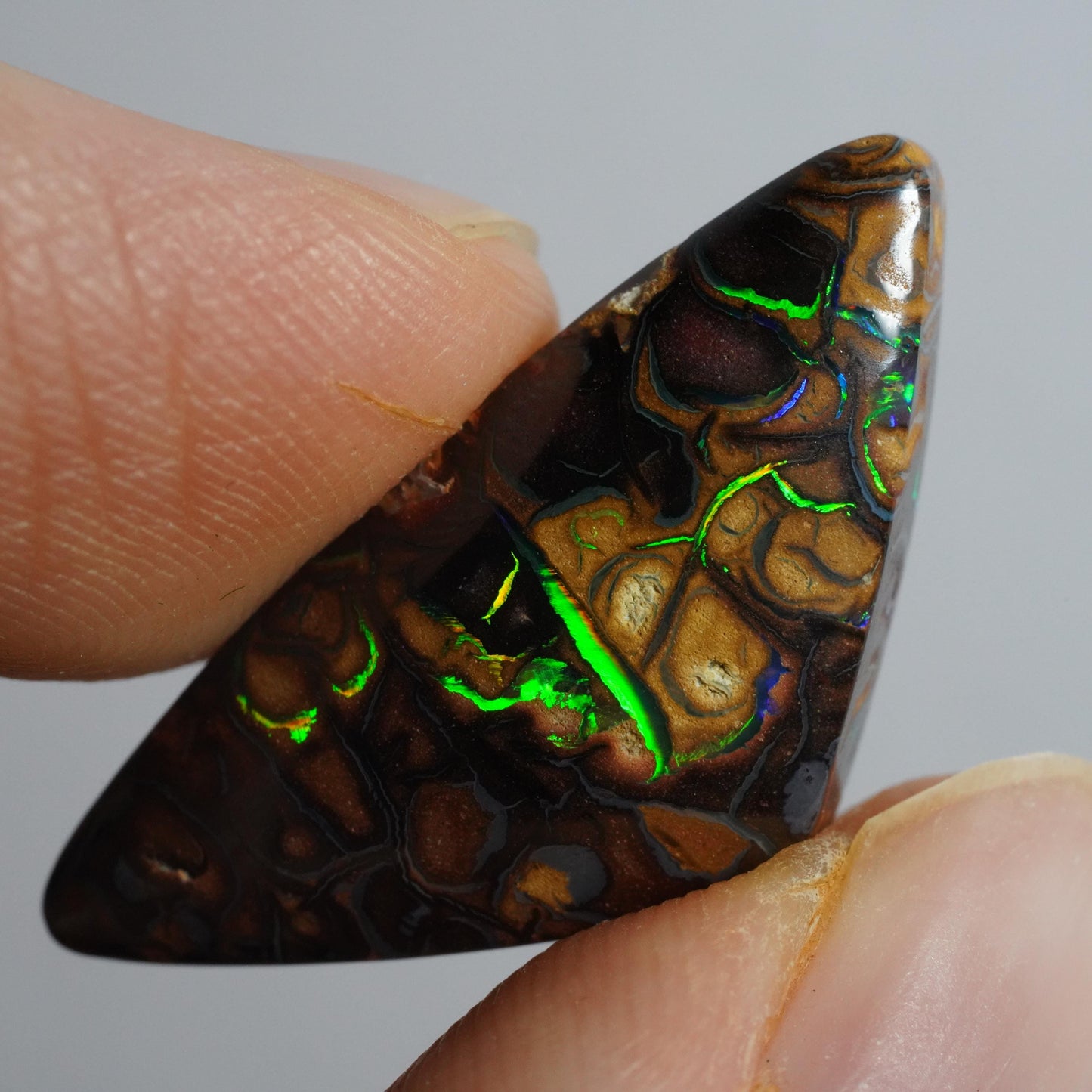 Boulder Opal Cut Stone